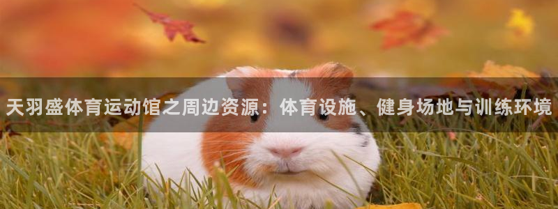 意昂官网