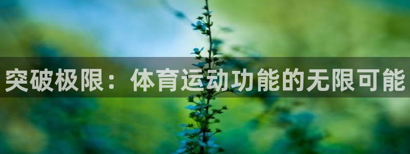 意昂2平台开户链接