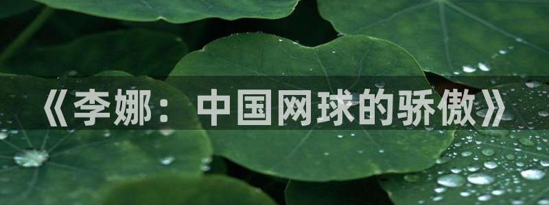 上海意昂2汽车电子有限公司