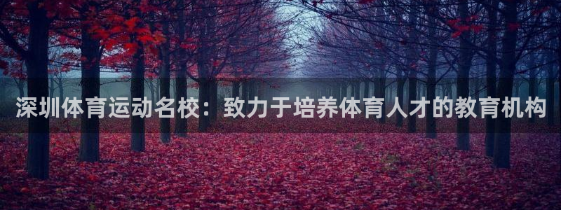 意昂23平台注册