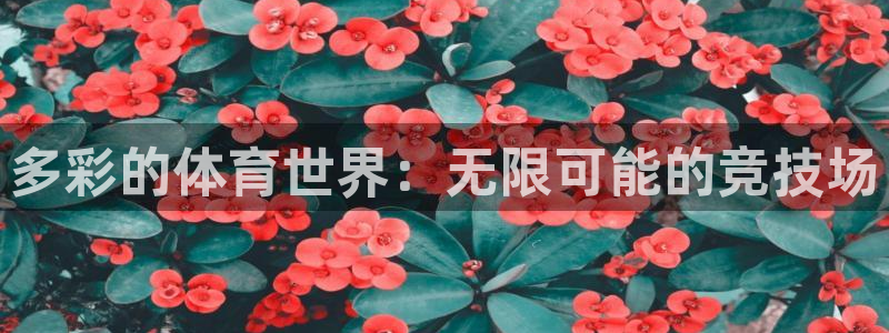 意昂包怎么样
