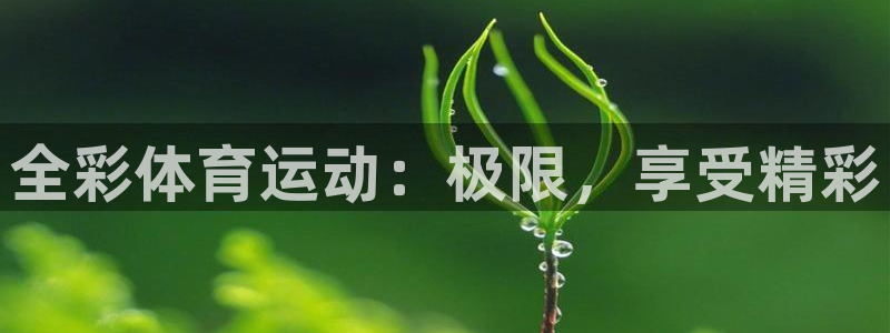意昂2体育平台注册