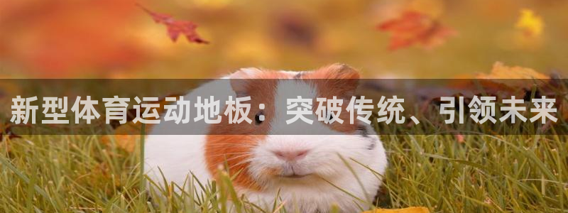 福建意昂机电股份公司