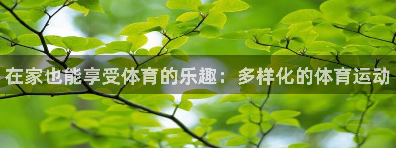 意昂2体育网页版入口