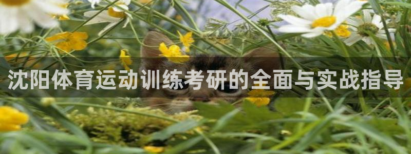 意昂5招商