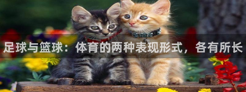 意昂2能源