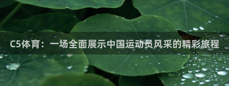 意昂2集团