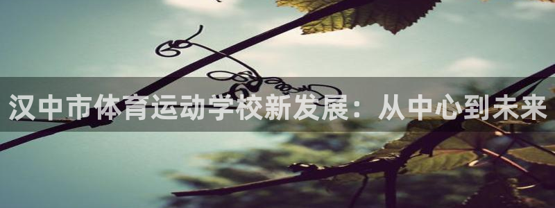 意昂2体育平台总代理