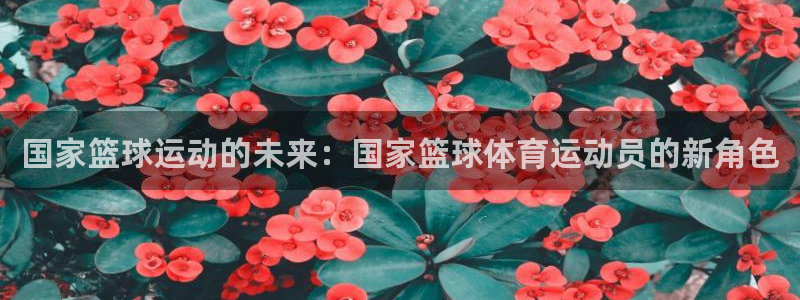 意昂24代理