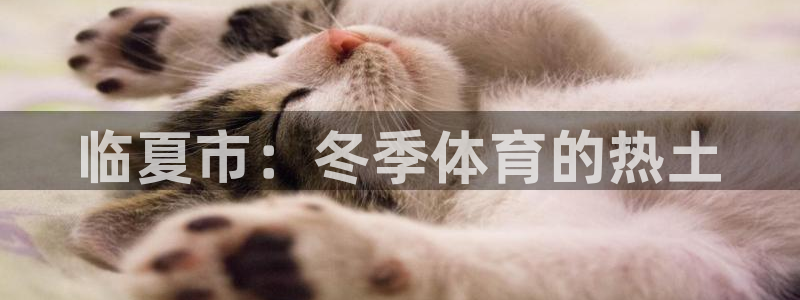 意昂5