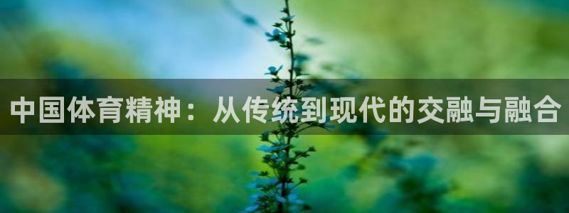 意昂2体育2