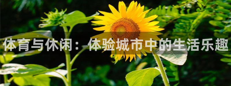 意昂2平台