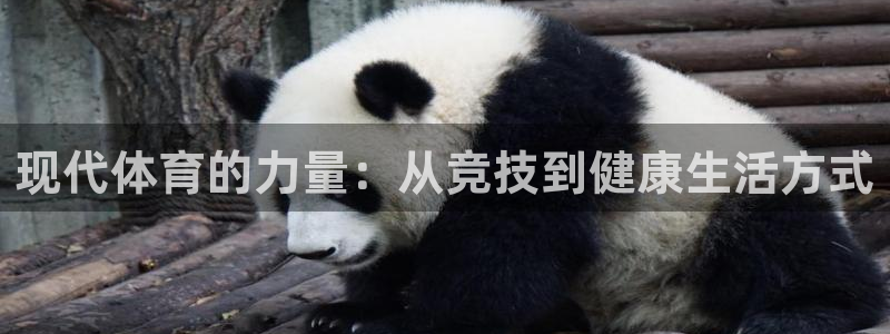 意昂2平台开户链接