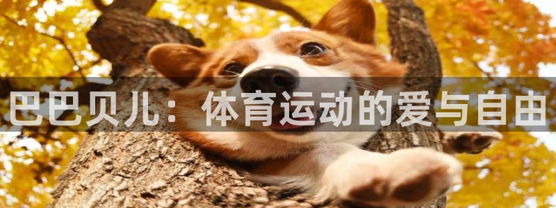 意昂2体育官网登录