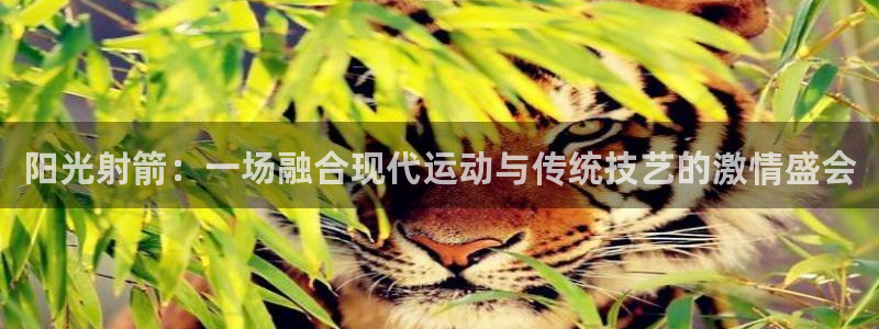 杭州意昂科技有限公司