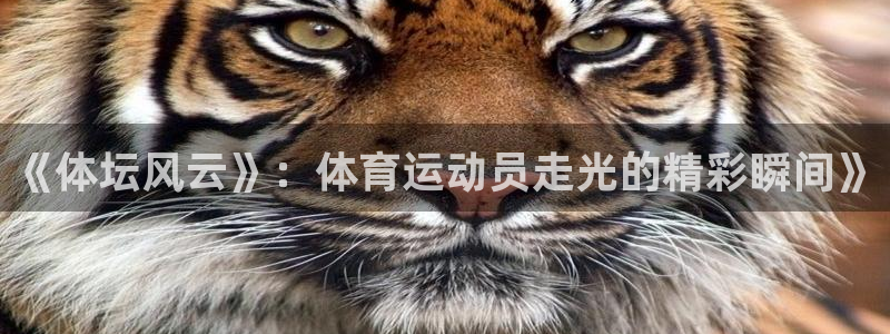 意昂3官网登录