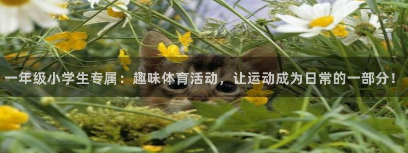 意昂2f凯捷注册
