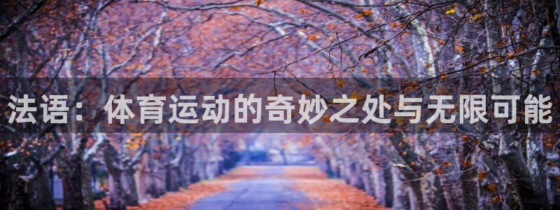 意昂23登陆
